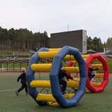 беличьи колеса аттракцион в аренду (9)
