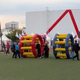 беличьи колеса аттракцион в аренду (20)