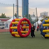 беличьи колеса аттракцион в аренду (24)
